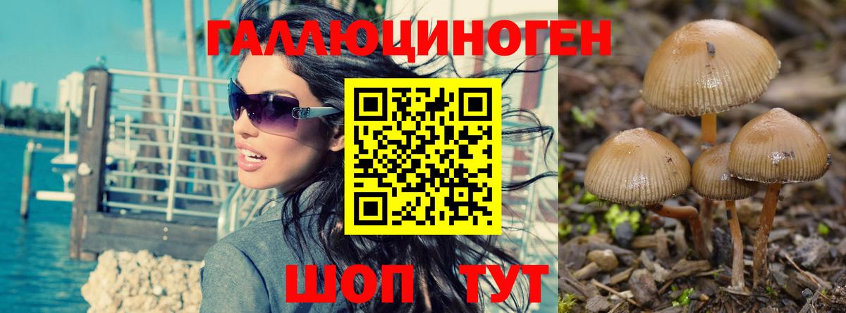 Кубинка  Галлюциногенные грибы GOLDEN TEACHER  Вход с VPN 